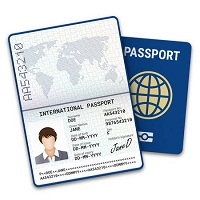 Buy novelty passports online