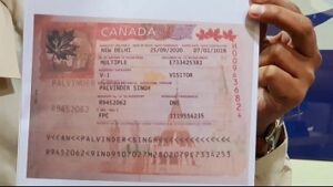 Fake Canadian visa for sale online